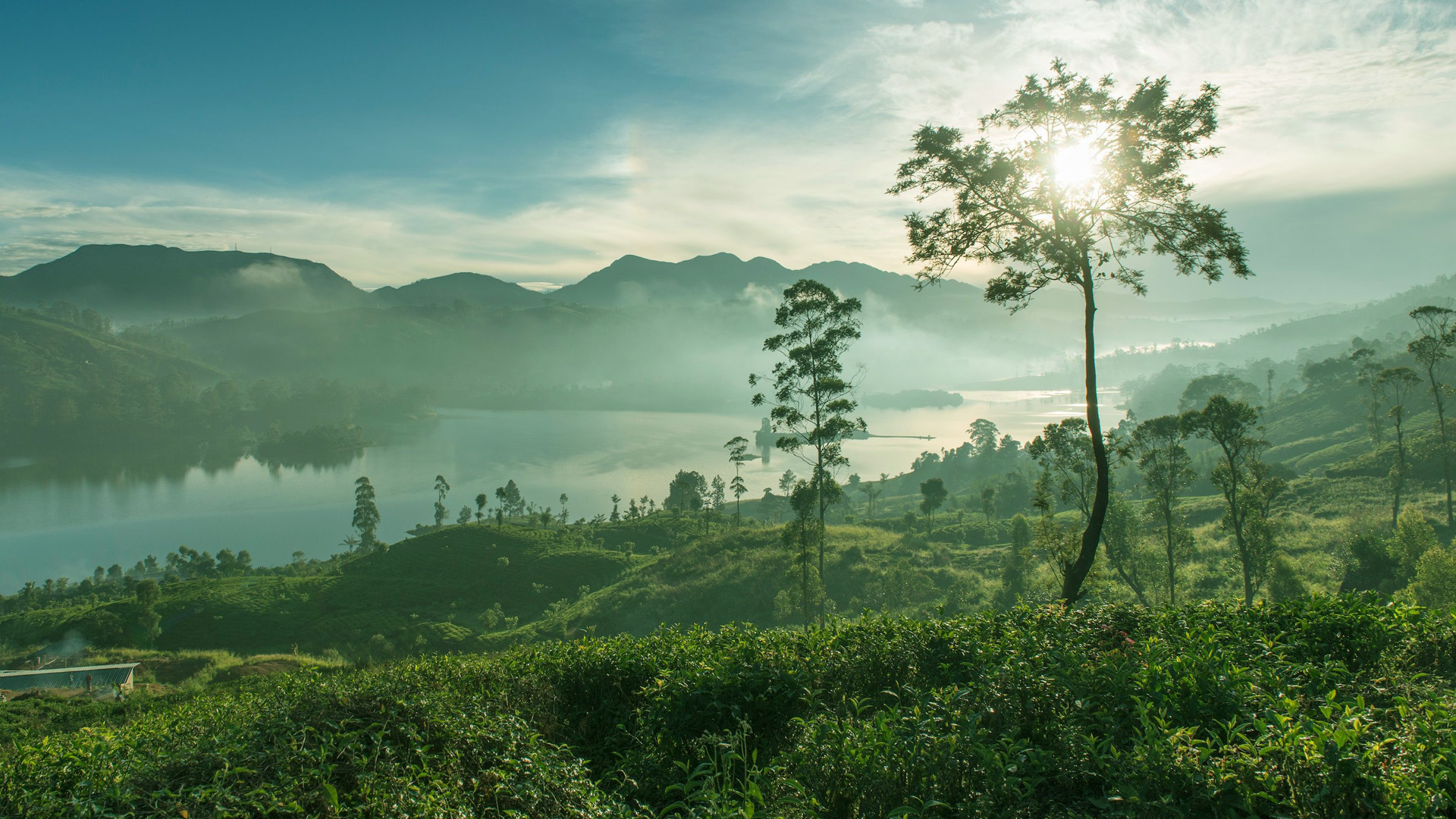 Lanka Bliss